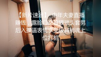 糖心Vlog 肉丝长腿女模下海记 淑怡