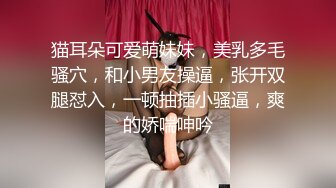 优雅气质尤物御姐女神  背着老公酒店偷情，戴上肛塞翘起蜜桃臀 被大鸡巴骑操！用大肉棒彻底满足闷骚女神的渴望