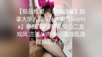 【极品性爱❤️绿帽淫妻】加拿大华人圈淫乱夫妻『Sophia』最新淫趴群P乱交①二龙戏凤 三骚战肉棒 场面淫乱淫靡操乱了 (7)