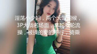 高清女厕偷拍高跟少妇拉粑粑