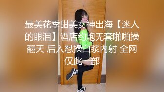 盲盒惊喜.主人的专属猫咪-宸荨樱桃