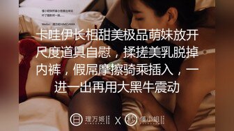 请买下我的性感爆乳。～开始爆乳订购的淫荡女子 水原美园