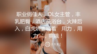 【TM0137】娇弱女仆的日常调教.又是被主人肉棒填满小穴的一天 #丽萨