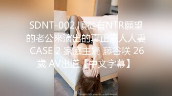 SH-013-女优面试日记.女神初试爱激情伴白带-吴心语