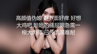 高颜值伪娘 啊下面好痒 好想大鸡吧 姐姐的骚屁眼急需一根大肉棒 已经饥渴难耐