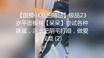 【新片速遞】 商场女厕全景偷拍制服美女职员的极品小黑鲍