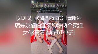 [2DF2] 《逼哥探花》情趣酒店嫖妓偷拍连续约嫖两个卖淫女4k高清画质[BT种子]