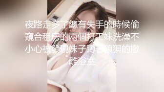 臊少妇高速客车上后排大胆露B紫薇