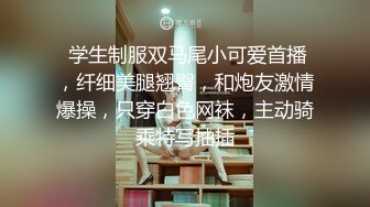 【AI换脸视频】杨幂  女优面试员