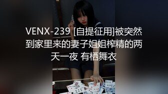 VENX-239 [自提征用]被突然到家里来的妻子姐姐榨精的两天一夜 有栖舞衣