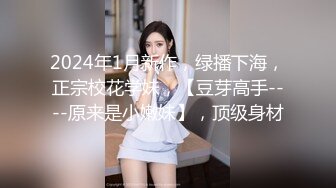    AI高清2K修复小马丶寻花深夜大长腿蜜桃臀妹纸，苗条身材扶着屁股摩擦调情