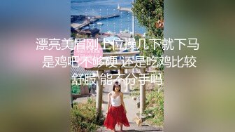 麻豆传媒MKY MKYHS004 催情民宿 新人女优 周宁