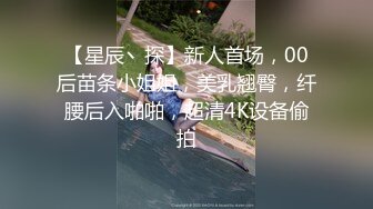 【AI换脸视频】李一桐 痴汉列车公然抽插性感OL 国语无码