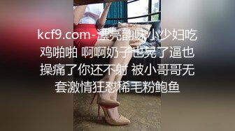 骚母狗穿黑丝深喉口交淫语想被男人干