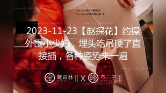 2023-11-23【赵探花】约操外围小少妇，埋头吃吊硬了直接插，各种姿势来一遍