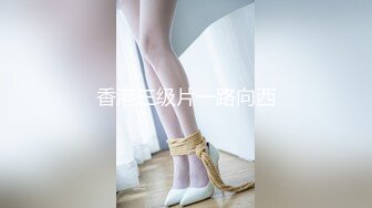 HEYZO 1538 出張キャバ嬢はスキだらけ～下の口も潤して 山中麗子