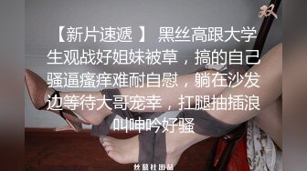 惩罚小母狗