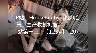 P站⭐ HouseBitchy ⭐视频合集，国产收割机推荐 —— P站第十三弹【123V】 (20)