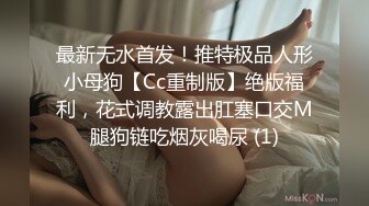 小少妇车里口交，暗光凑合看