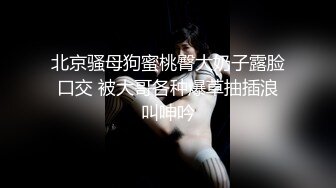 《极品反差✅淫妻泄密》真实骚妻淫乱轰趴公交刷锅第一人！推特顶级绿帽母G【三品】私拍，调教啪啪3P4P双棍齐入 (7)