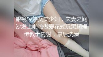 Al&mdash;索菲娅&middot;维加拉 爆乳女仆