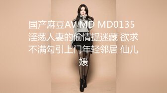 国产麻豆AV MD MD0135 淫荡人妻的偷情捉迷藏 欲求不满勾引上门年轻邻居 仙儿媛